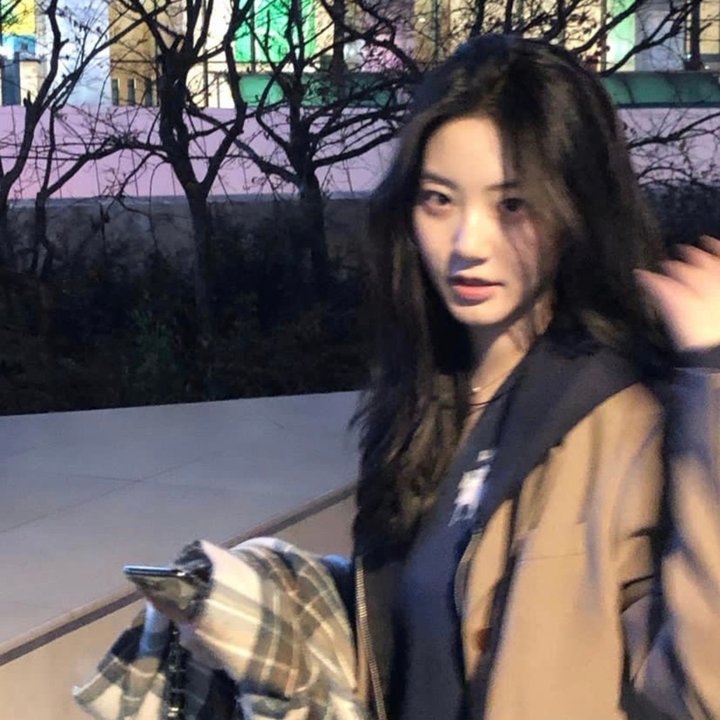 妙狗拯救万圣节